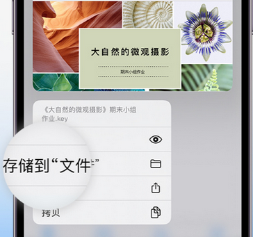 阿克陶apple维修中心分享iPhone文件应用中存储和找到下载文件