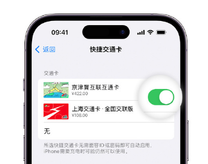 阿克陶apple维修点分享iPhone上更换Apple Pay快捷交通卡手绘卡面 