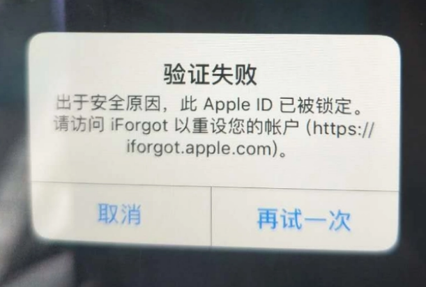 阿克陶iPhone维修分享iPhone上正常登录或使用AppleID怎么办 