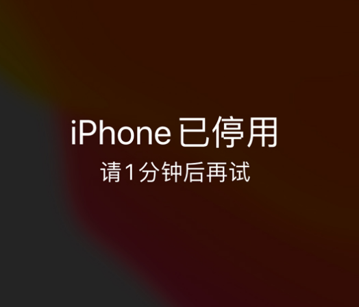 阿克陶苹果手机维修分享:iPhone 显示“不可用”或“已停用”怎么办？还能保留数据吗？ 