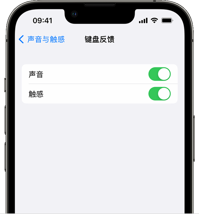 阿克陶苹果14维修店分享如何在 iPhone 14 机型中使用触感键盘 