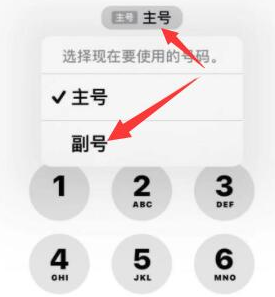 阿克陶苹果14维修店分享iPhone 14 Pro Max使用副卡打电话的方法 