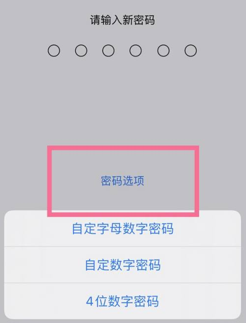 阿克陶苹果14维修分享iPhone 14plus设置密码的方法 