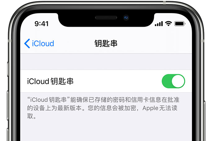 阿克陶苹果手机维修分享在 iPhone 上开启 iCloud 钥匙串之后会储存哪些信息 