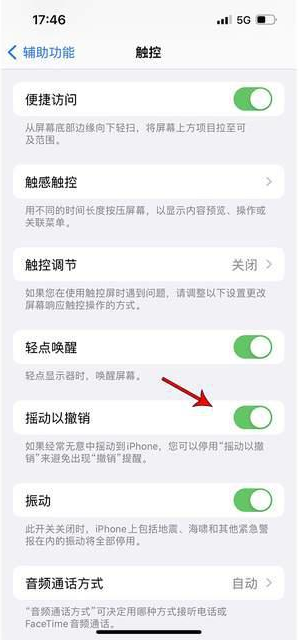 阿克陶苹果手机维修分享iPhone手机如何设置摇一摇删除文字 