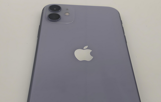 阿克陶苹果11系统维修分享iPhone11手机系统崩溃无法开机如何解决